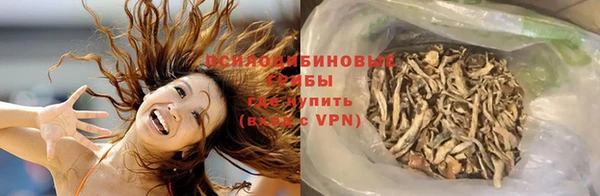 мескалин Арсеньев