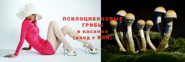 мескалин Арсеньев