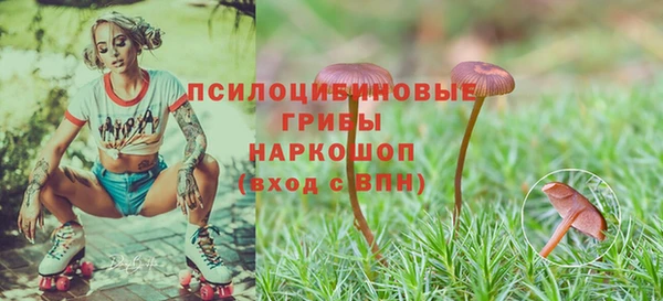 MESCALINE Алексеевка