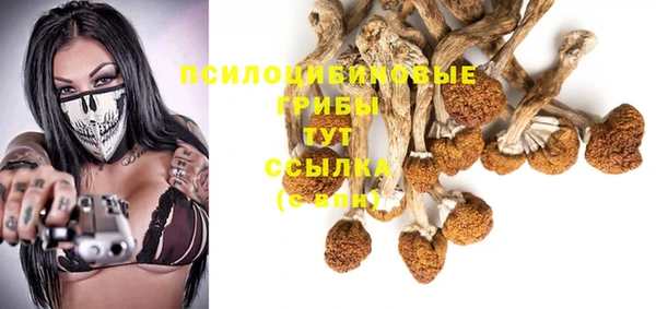 мескалин Арсеньев